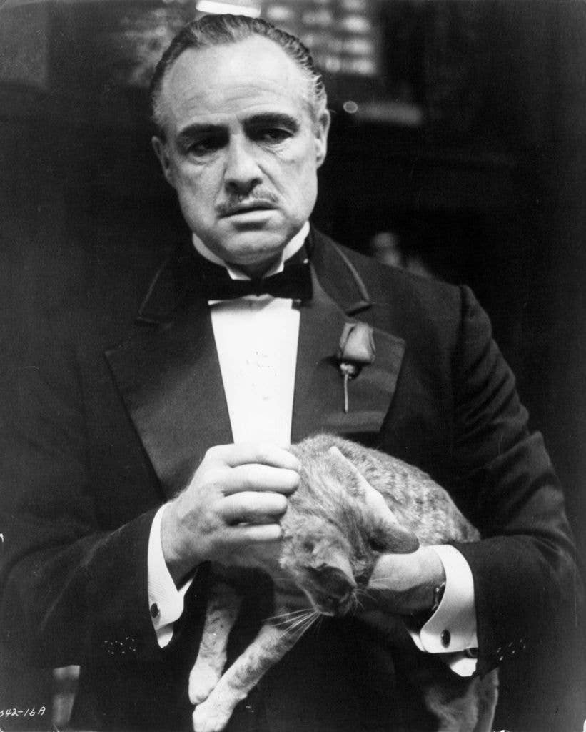 Black and white photo of Marlon Brando in 'The Godfather' holding a tabby cat. 