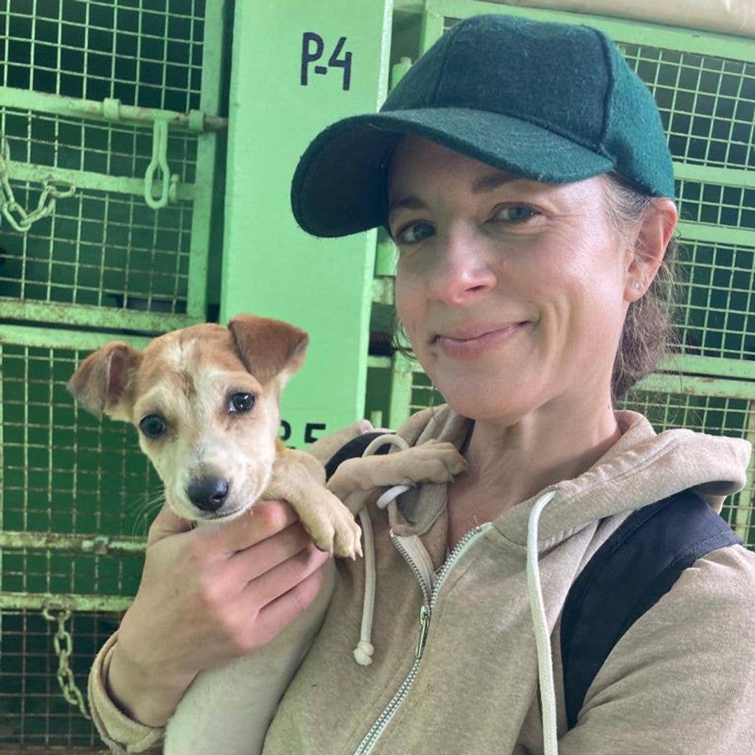 Why I gave up interviewing celebrities to rescue street dogs in India in midlife