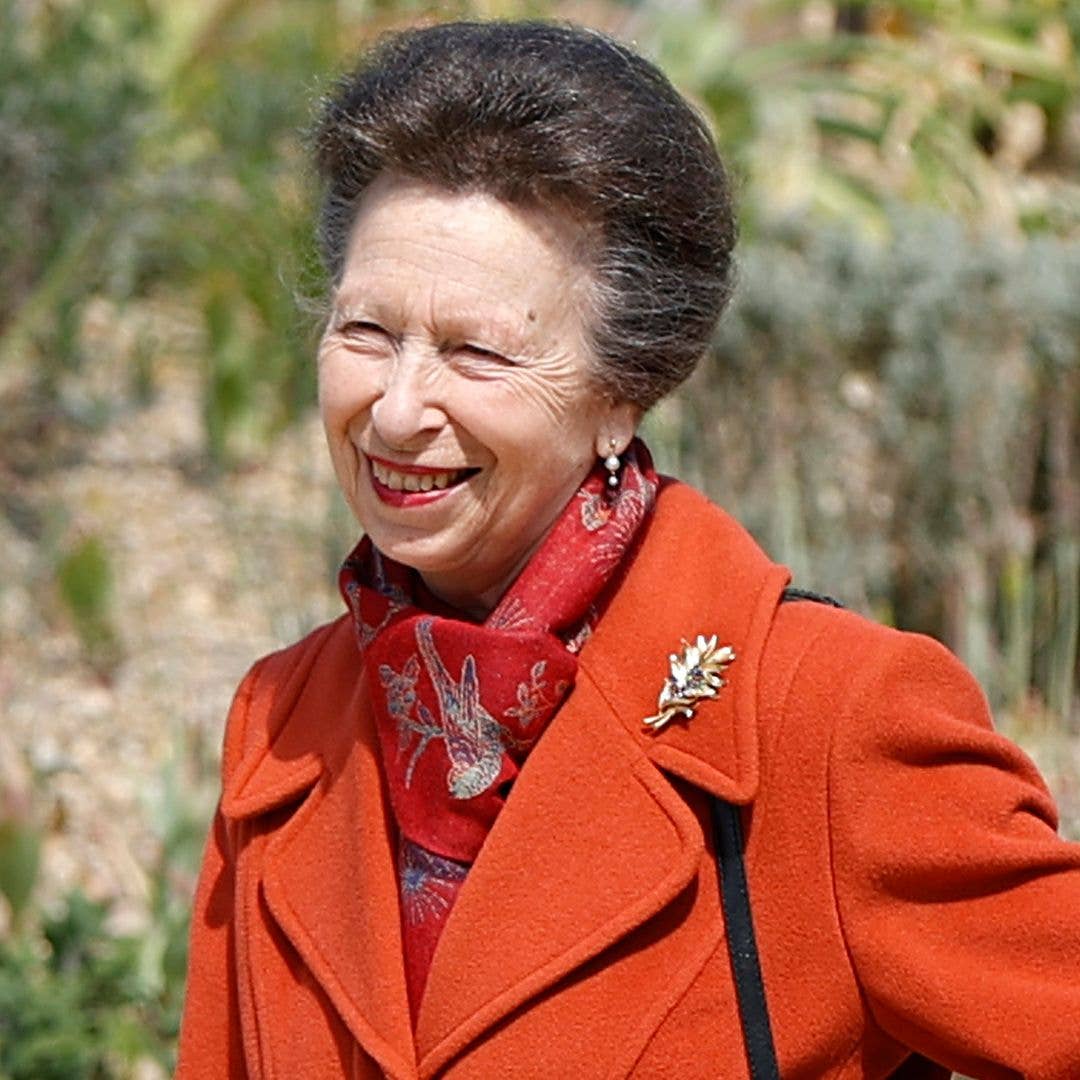Princess Anne's bizarre frozen aeroplane food she's obsessed with