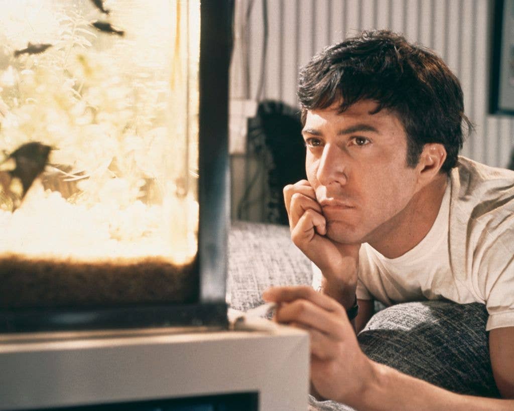 Dustin Hoffman as Benjamin Braddock in 1967 film The Graduate.