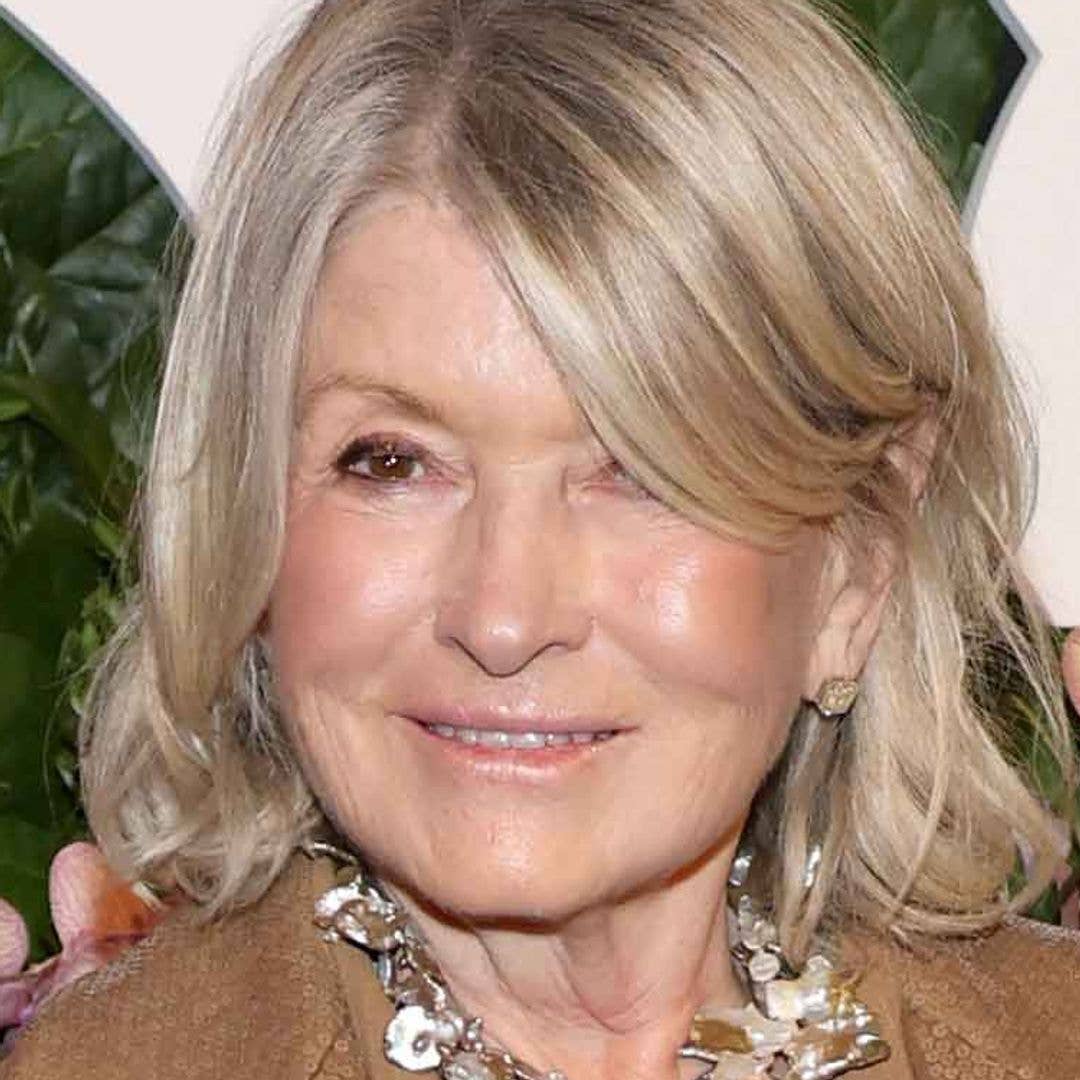 Martha Stewart is 84 and this $15 illuminator is responsible for her youthful glow