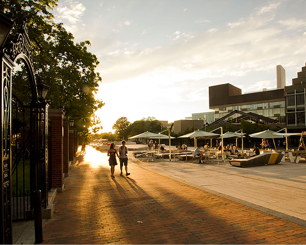 Harvard Campus at Sunset