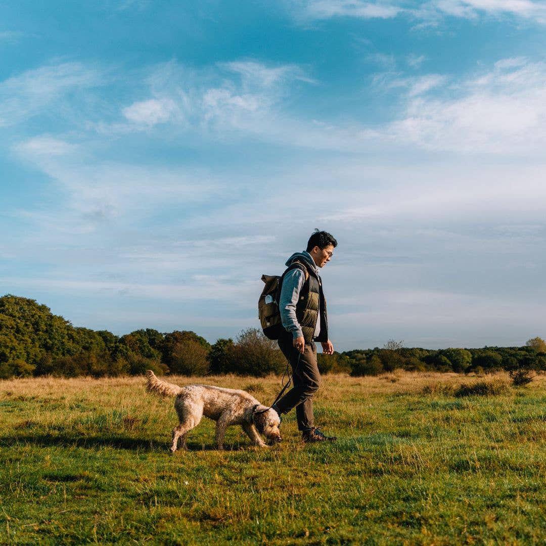 The best country walks within 30 minutes of London