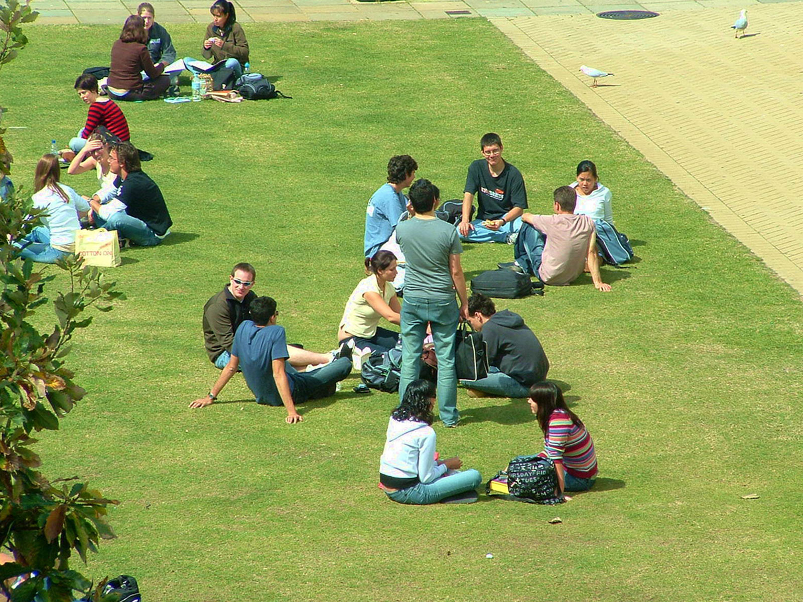 skills for College. Students sit in groups on a green lawn.