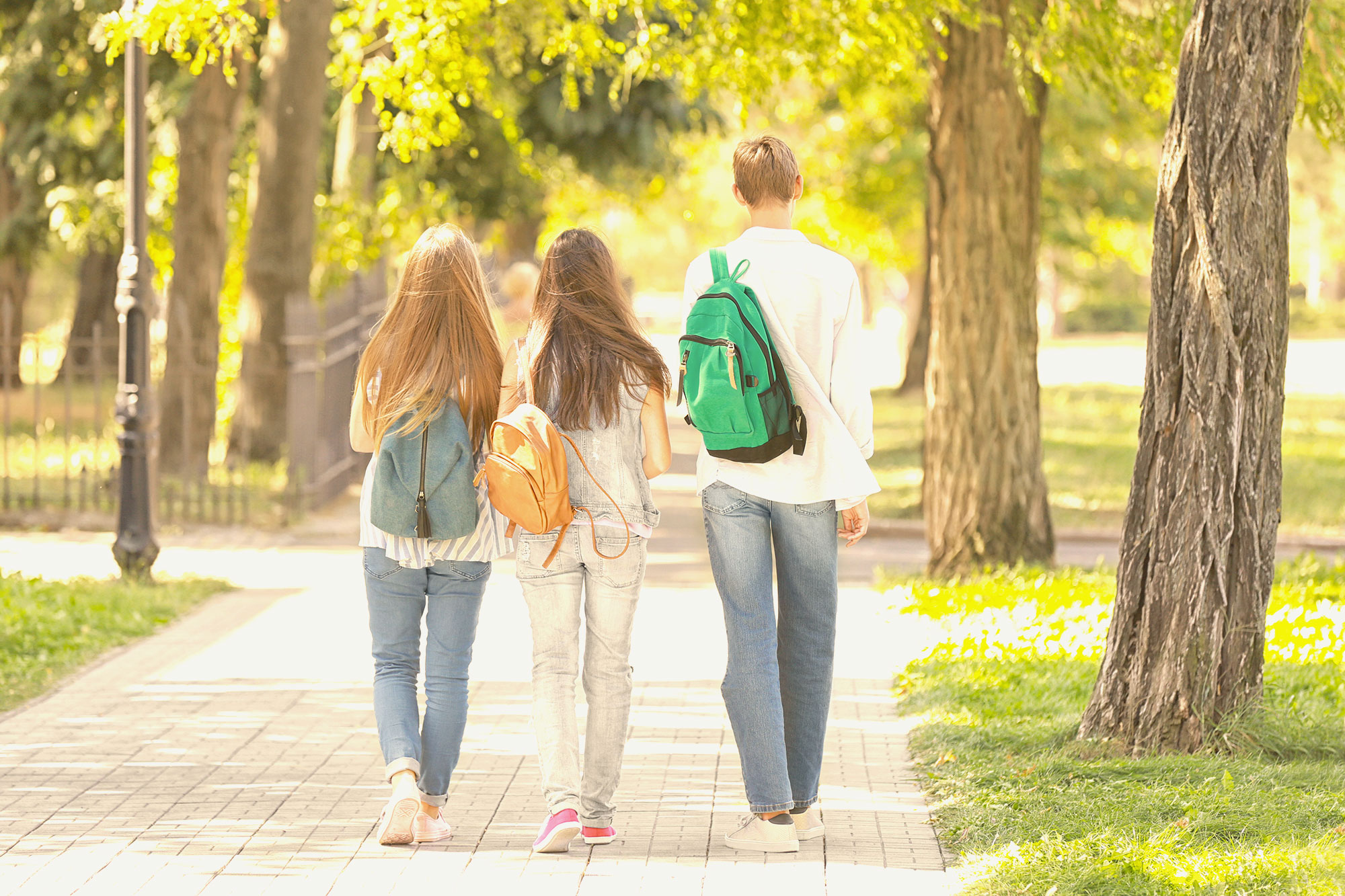 Preparing for college in high school: three students walk with backpacks on a tree-lined sidewalk.